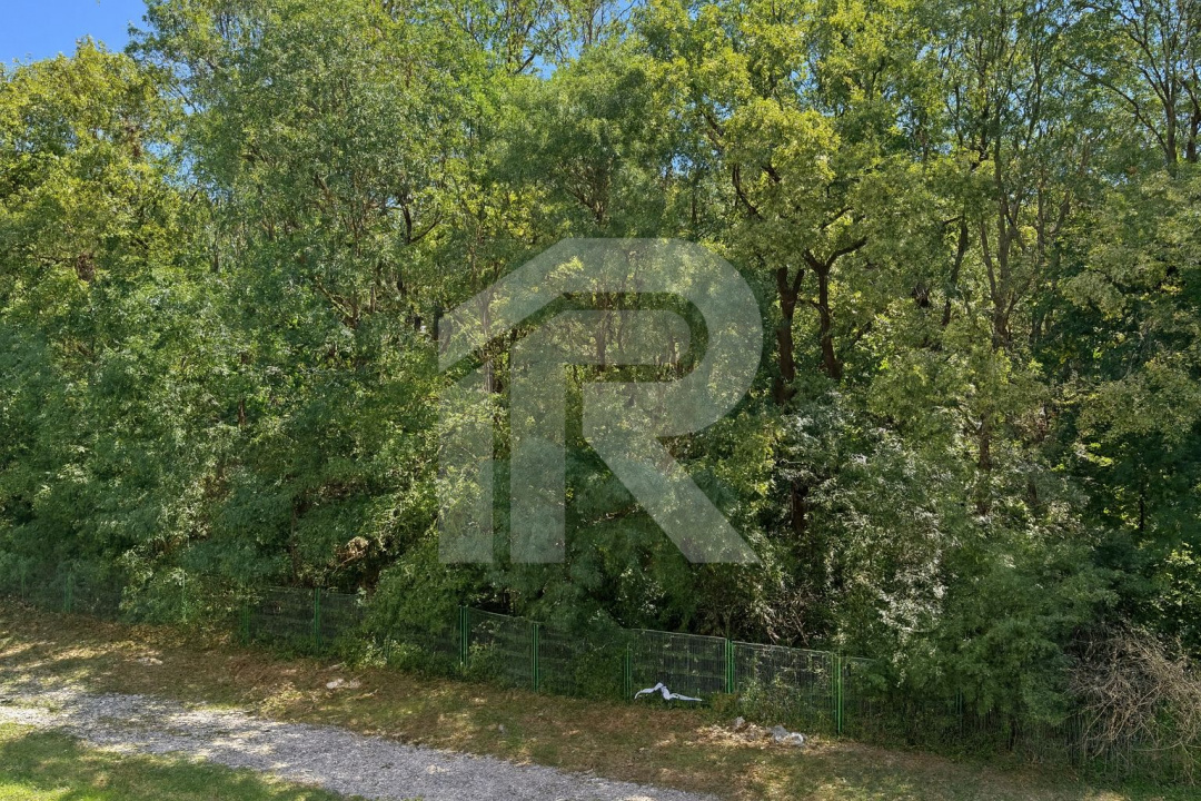 Apartament 3 camere de închiriat – Greenfield Residence, Băneasa – vedere către 