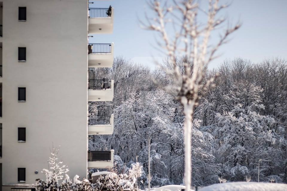 Apartament de 2 camere  - Complet mobilat și utilat - Greenfield Residence 